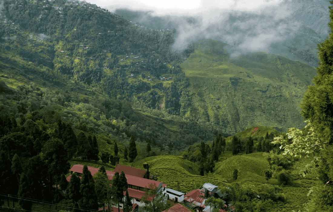 Gangtok Pelling Darjeeling Tour Package